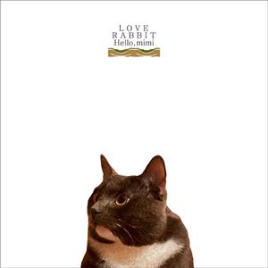 白丝小脚夹住命根上下摩擦的预防措施有哪些
